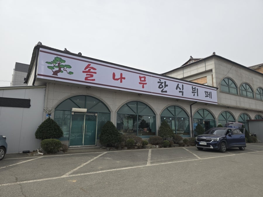 솔나무 사진 1