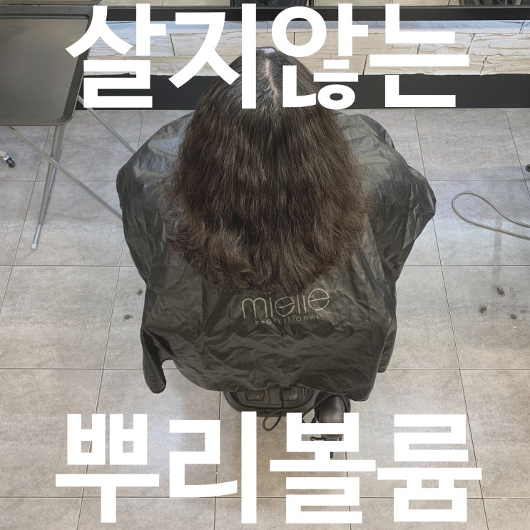  히피펌 해도 볼륨이 안 산다면? 가르마 교정 & 모류 교정이 답!
