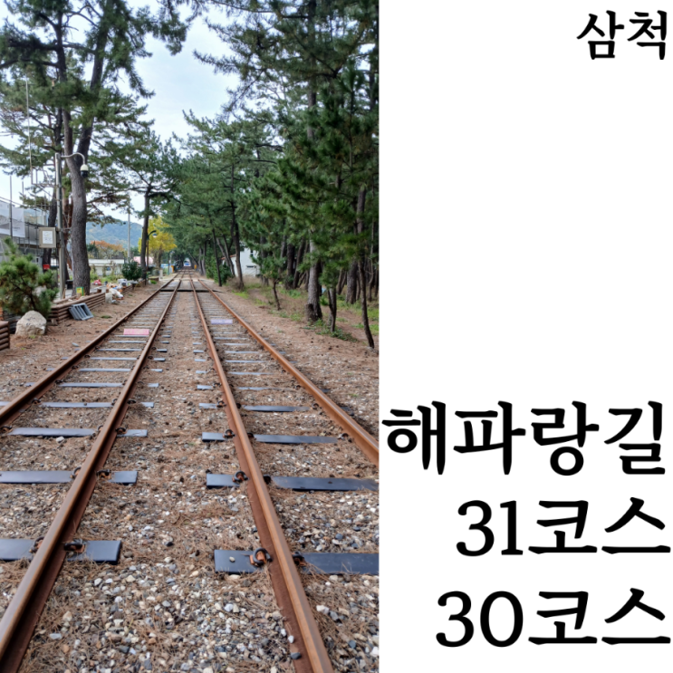  [해파랑길/11일차]삼척의 시골 31코스와 삼척해양레일바이크로도 즐길 수 있는 30코스