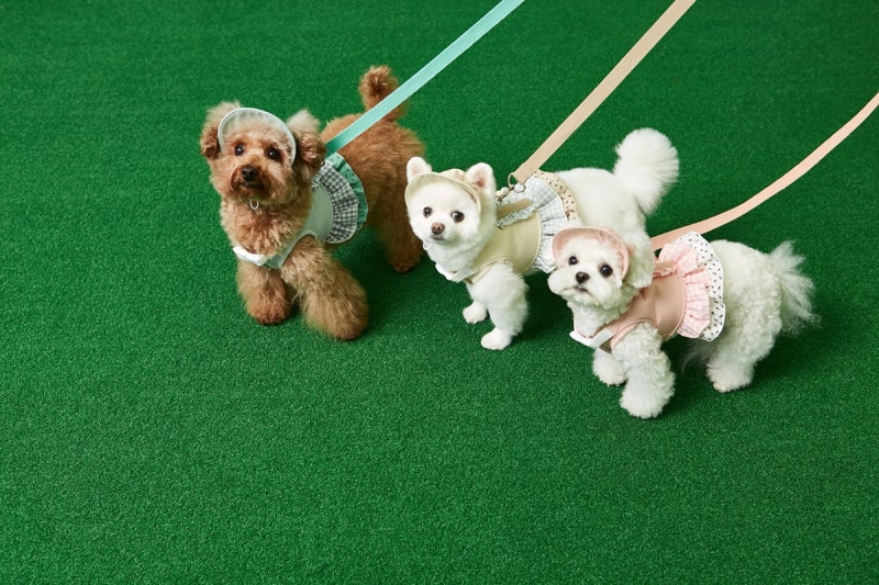 사진 3