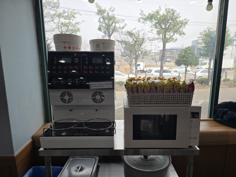 솔나무 사진 4