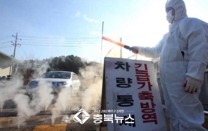 청주시 오송읍 <b>산란계 농장</b>서 <b>AI 발생</b>