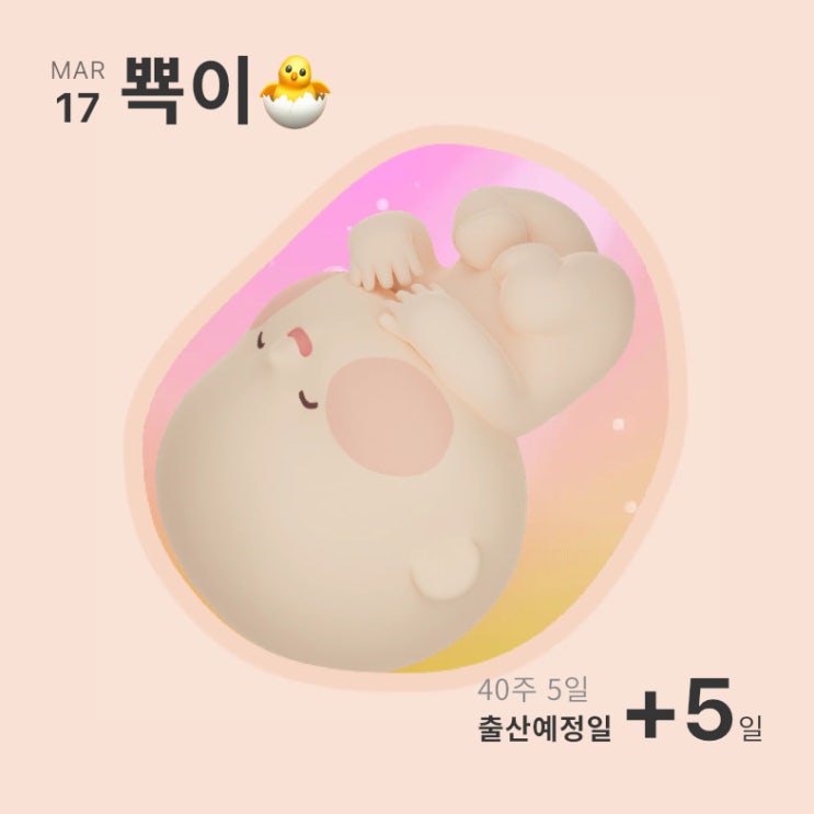  아빠의 출산일기 1. 40주 5일 초산모 유도 분만 성공 후기 동탄 제일병원