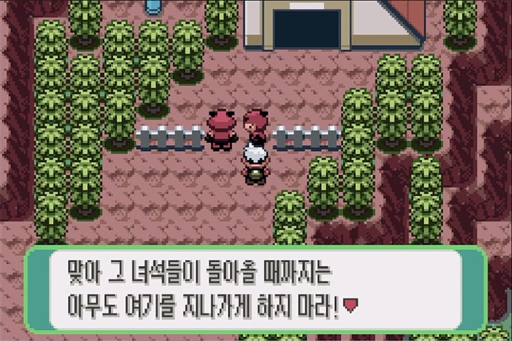  [공략]포켓몬스터 에메랄드 9 - 111번도로, 112번도로(불꽃샛길), 113번도로, 단풍마을 -