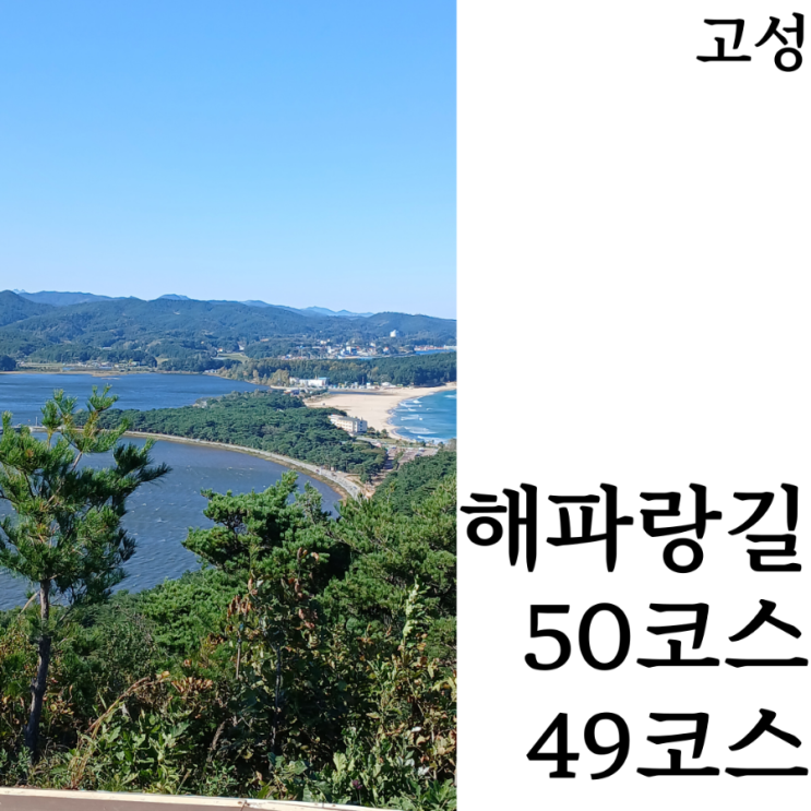  [해파랑길/1일차]속초에서 고성 50코스 시내버스로 가는 방법 완벽정리 / 49코스 역방향으로 가야하는 이유!!  완주 후기