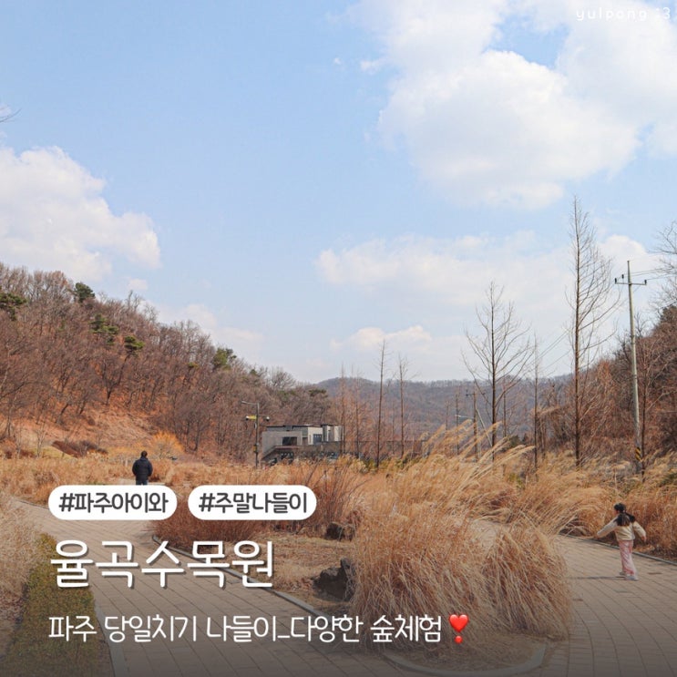  파주 아이와 주말나들이 율곡수목원 다양한 숲체험