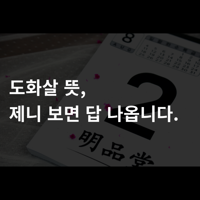  도화살 뜻, 제니 보면 답 나옵니다.