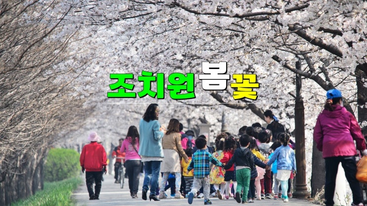 세종시 벚꽃 복사꽃 명소 가볼만한곳 · 2025 조치원 봄꽃축제 기본정보 개화시기 교통통제 주차 세종시 벚꽃 복사꽃 명소 가볼만한곳 · 2025 조치원 봄꽃축제 기본정보 개화시기 교통통제 주차
