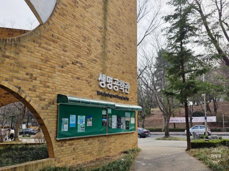  청년 대학생 근로장려금 요건 신청절차