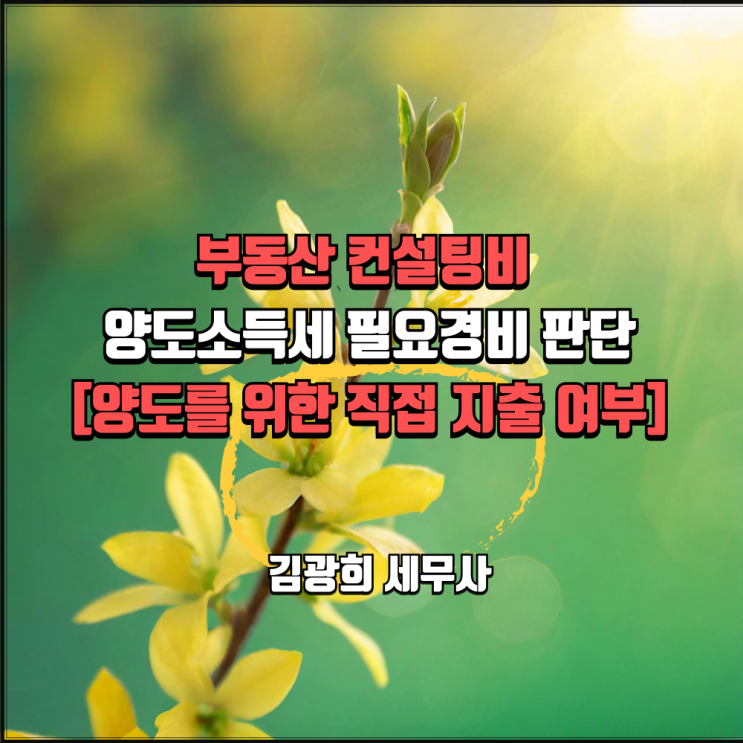  부동산 컨설팅 비용 양도소득세 필요경비 판단[양도를 위한 직접 지출 소개비]