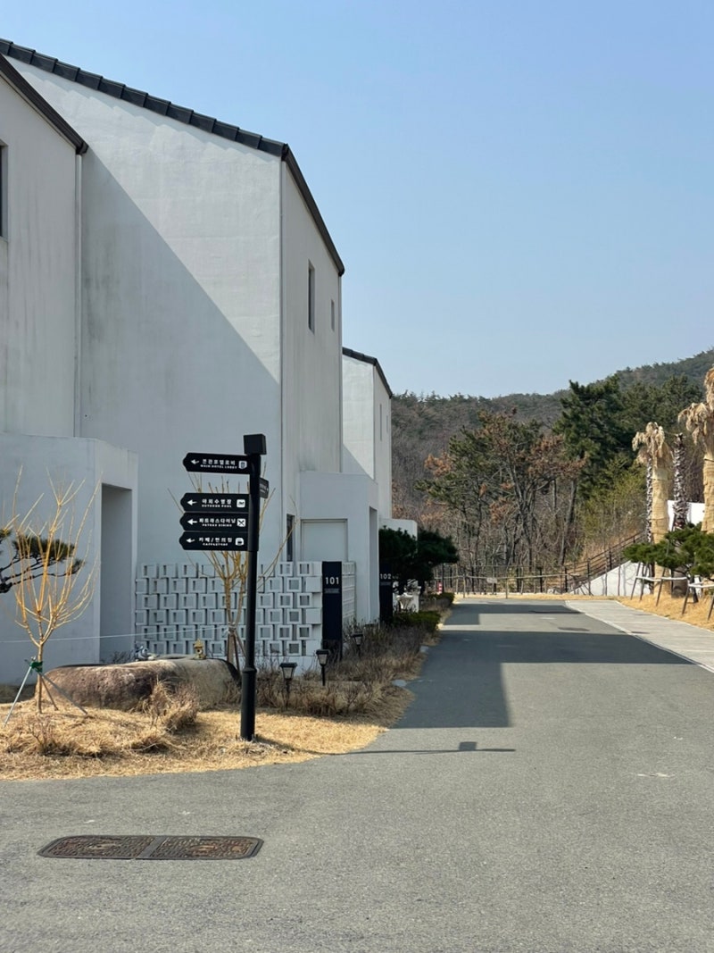 사진 6