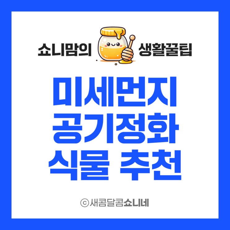  미세먼지로 답답하고 건조한 실내, 장소별 공기정화식물 추천해요!