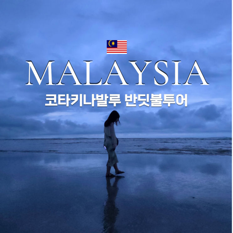  코타키나발루 반딧불투어 시간 가격 뚜아이 반딧불투어 예약 후기