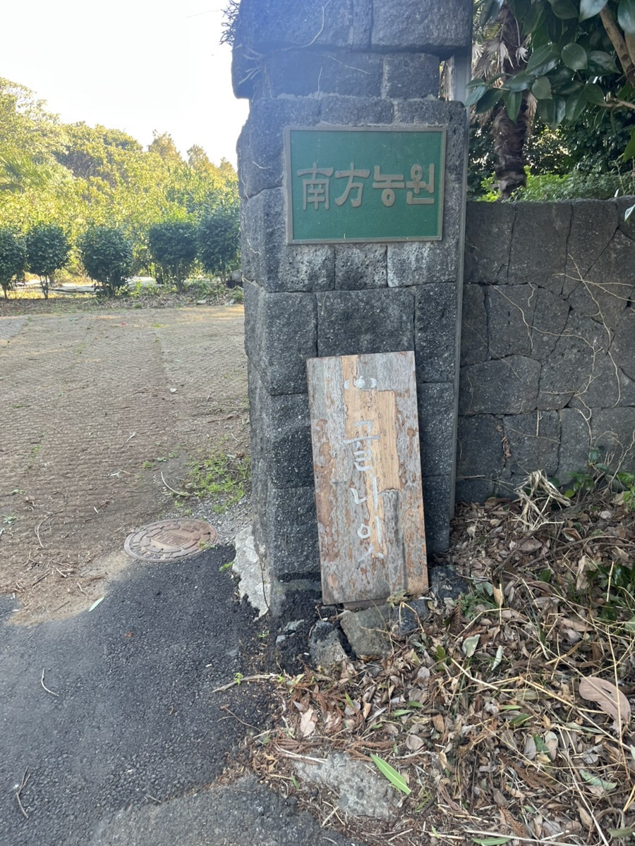 귤나잇 사진 2