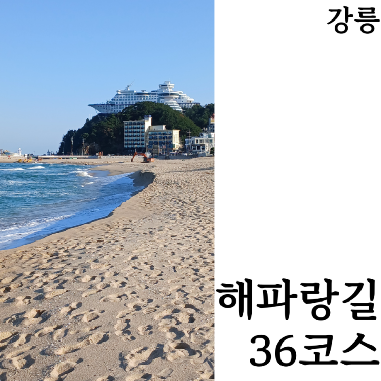  [해파랑길/8일차]악명높은 난이도 상 36코스(강릉바우길 8구간) 시내버스로 가는방법 완주 후기