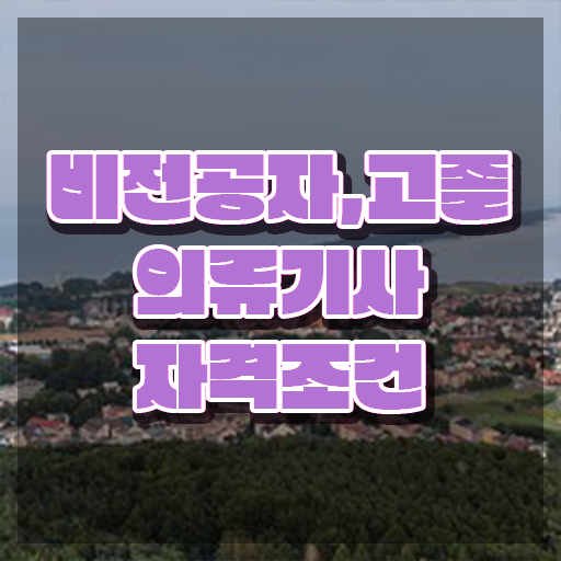  의류기사 응시자격 인강만 듣고 쉽고 빠르게 완료한 전략