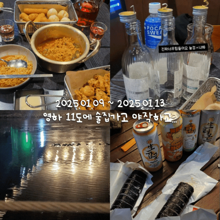  1월일상 3 :: 영하 11도에 목감기 걸린 채로 술 꼴아박기