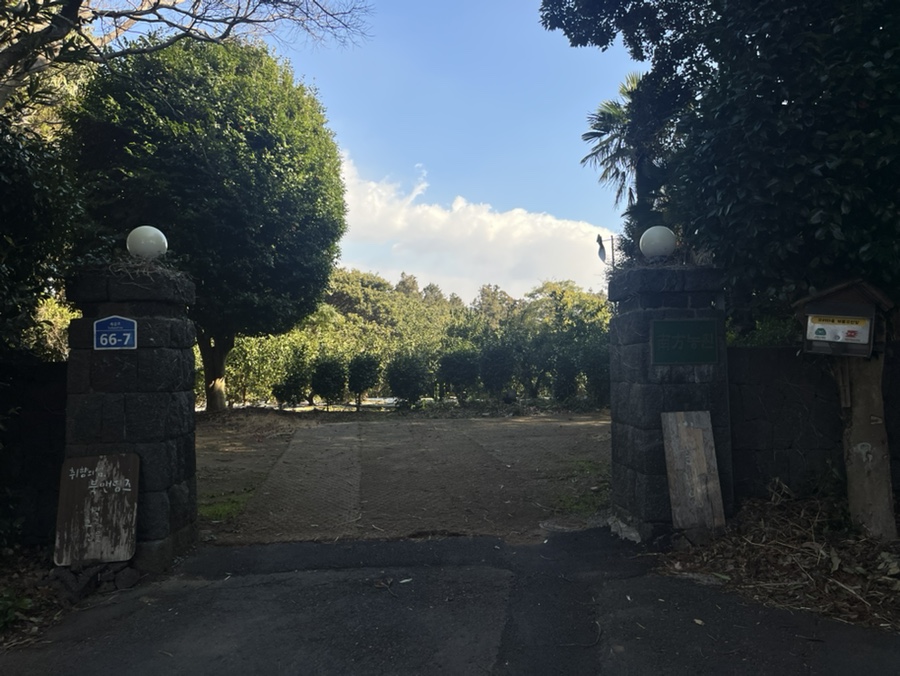 귤나잇 사진 1