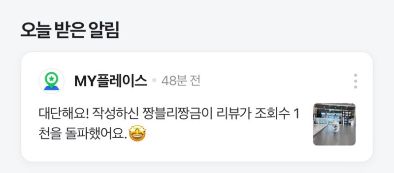 짱블리 짱금이