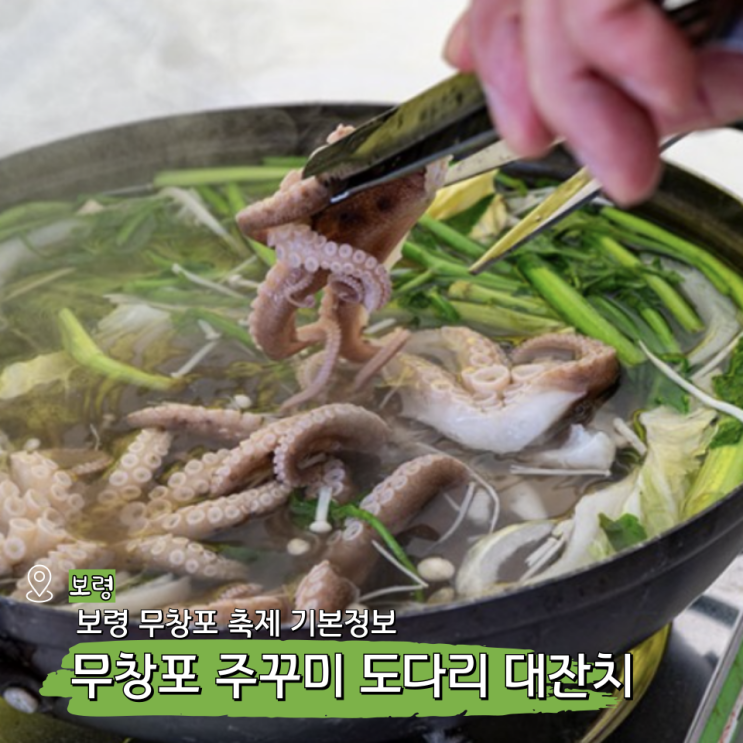  충남 3월 4월 축제 기본정보 보령 무창포 쭈꾸미 도다리 대잔치