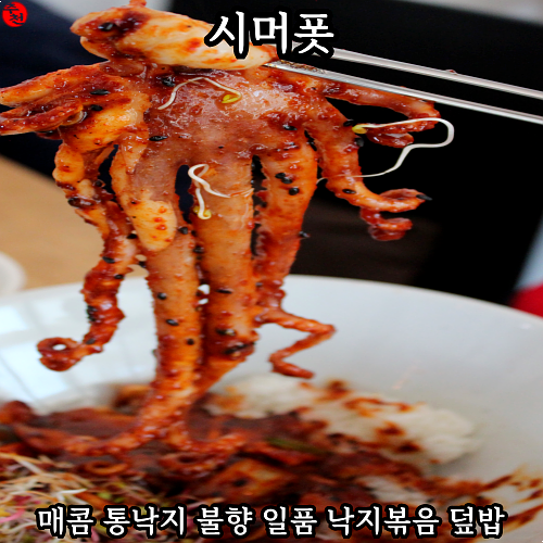 통낙지 한마리가? 제주아라동맛집 시머폿 낙지덮밥