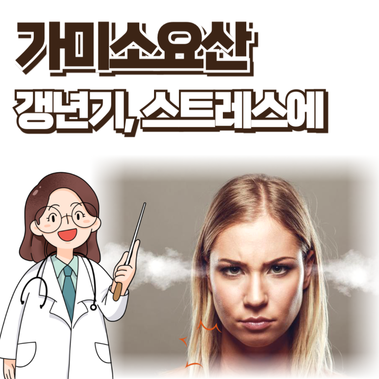  가미소요산 효능 갱년기 불면에