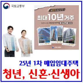  25년 1차 매입임대주택 모집 (feat. 청년, 신혼·신생아) : 수도권, 6월말입주, 최대10년거주, 신청자격, 소즉기준, 맞벌이, lsh, 서울, 대구, 특화형, 청약플러스