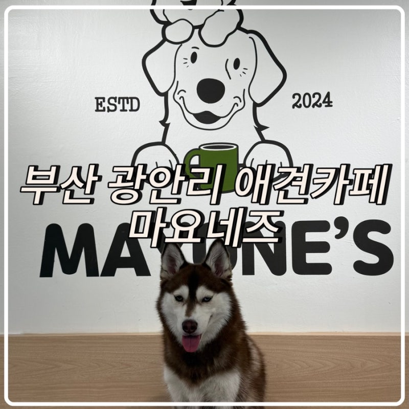 사진 3