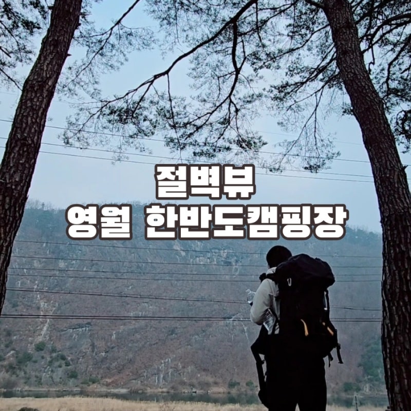 사진 5