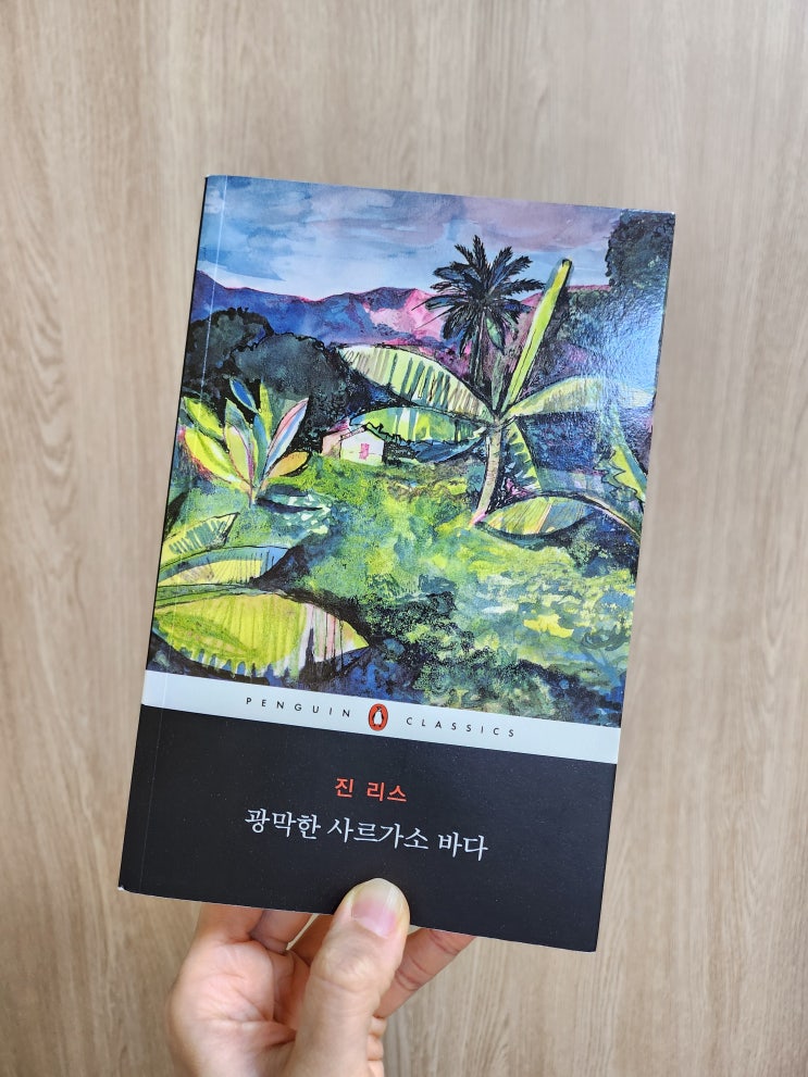 진 리스, 광막한 사르가소 바다와 무서운 그림3의 가버니스, 제인 에어