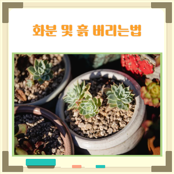  깨지거나 필요없는 화분 버리는 방법 알려드려요