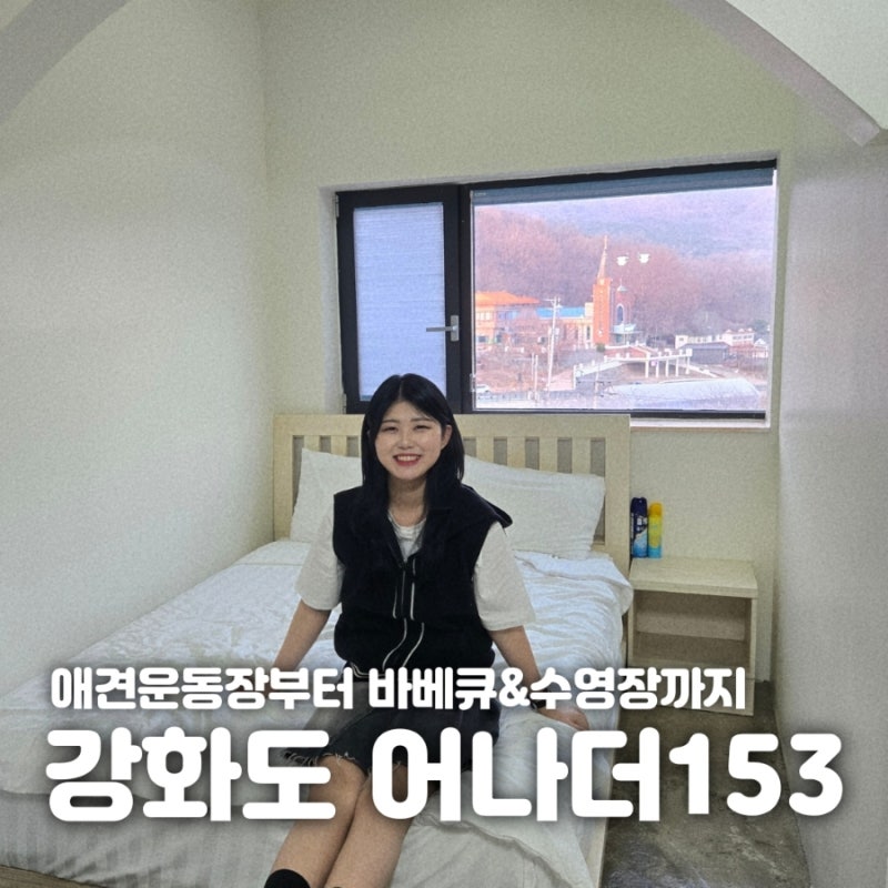 사진 15