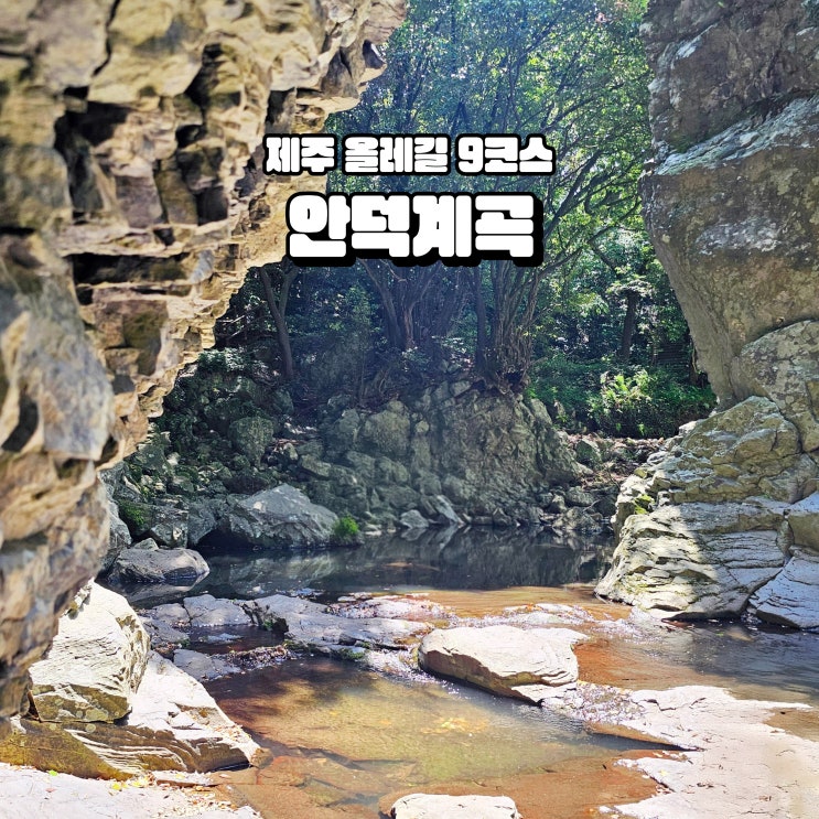  국내 조용한 여행지 한적한 제주 올레길 안덕계곡