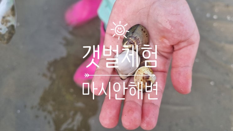  인천 영종도 마시안해변 갯벌체험 완전정복! 우리 가족의 특별한 하루