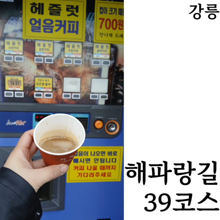  [해파랑길/6일차] 강릉 테라로사와 커피거리 원조 자판기커피 맛집 위치 39코스 강릉바우길 5구간 완주 후기