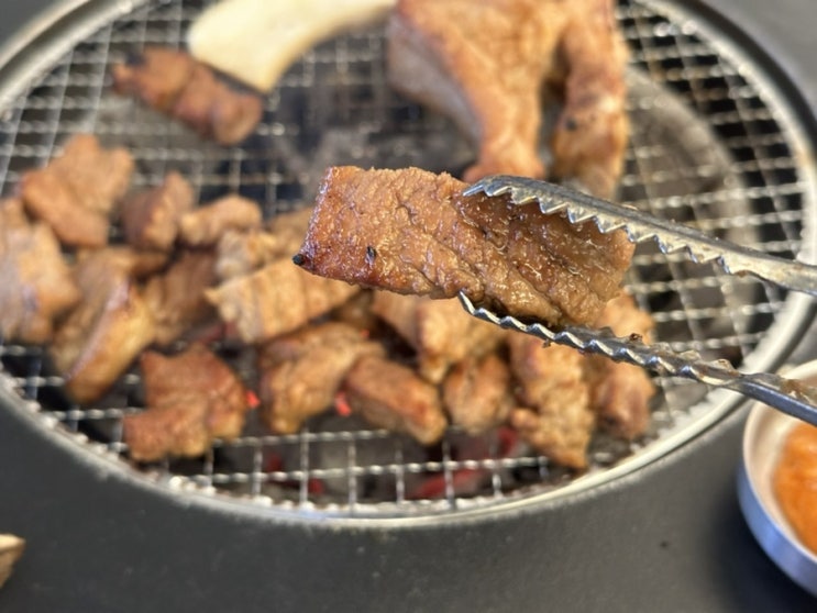  논현돼지갈비 빽돈 신논현직영점 신논현 점심 맛집