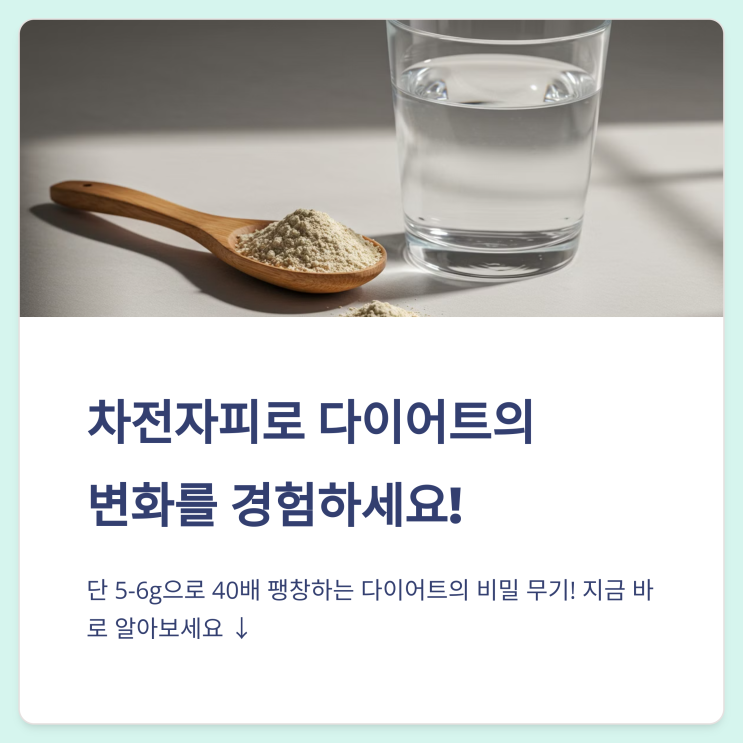  차전자피로 건강하게 살 빼기: 다이어트 효과와 올바른 활용법