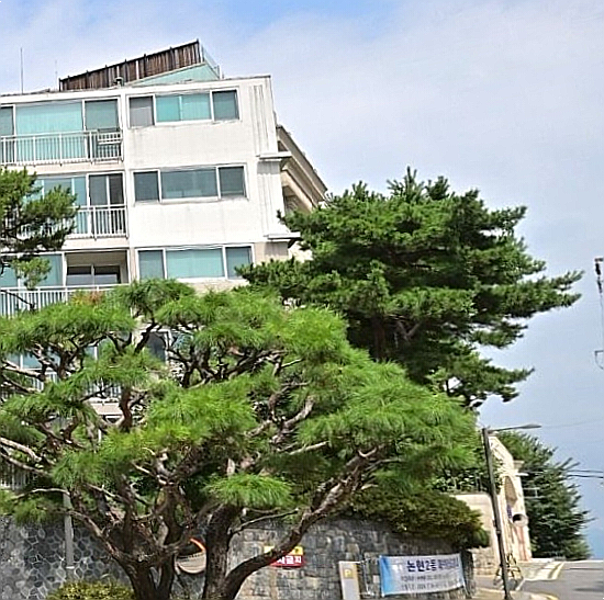 <b>예지원</b> 논현동 엄마 집 컴백 사유, <b>솔로라서</b> 단골식당 신사동... 