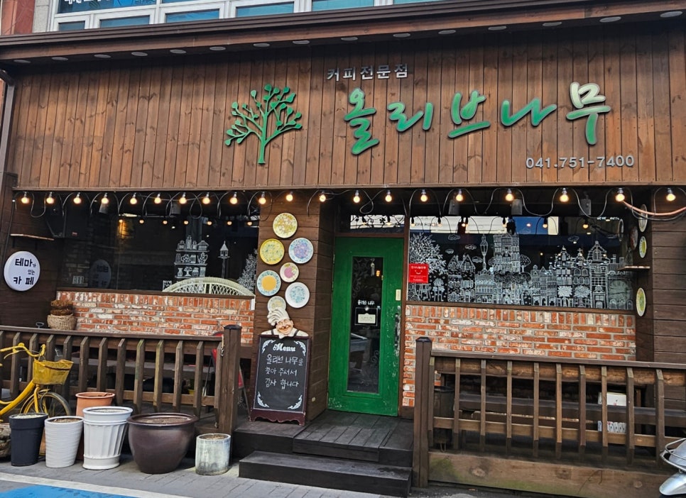 올리브나무 사진 1