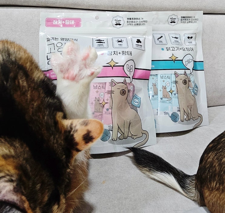 고양이츄르 아무거나 말고 젠틀프라이스 냥스틱 고양이간식으로