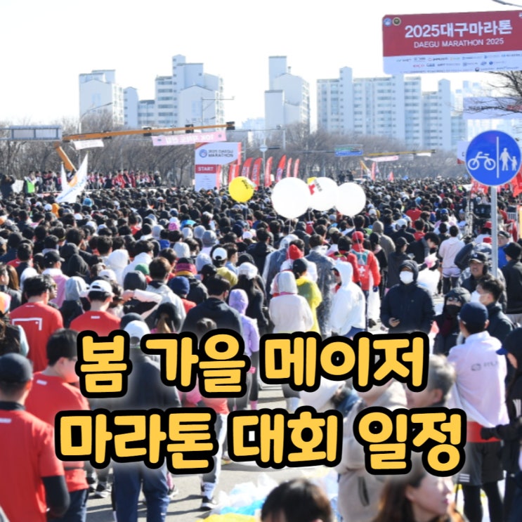  국내 메이저 마라톤 봄 가을 대회 4곳(10km달리기포함)