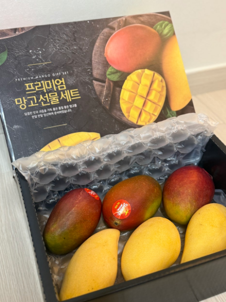 애플망고 vs 골드망고 | 망고 손질법, 보관법, 후숙하기 등 꿀팁 대방출