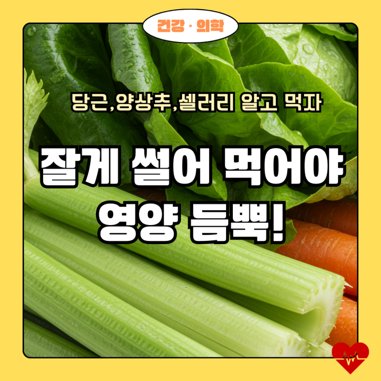  채소, 그냥 먹지 마세요! 잘게 썰어 먹어야 영양 듬뿍!