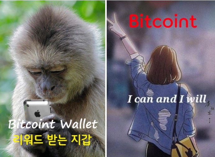  [비트코인트&피코나]핑퐁 앱테크 재오픈 임박!