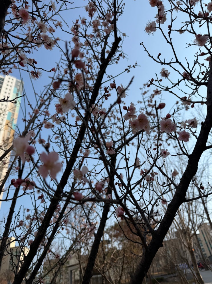  안녕하세요. 잘 부탁드립니다.