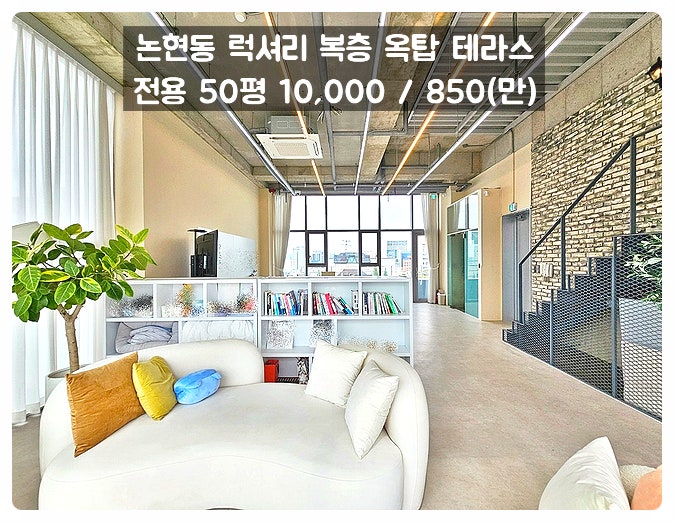  신사역 사무실 임대 복층 옥탑 단독 테라스 신축급