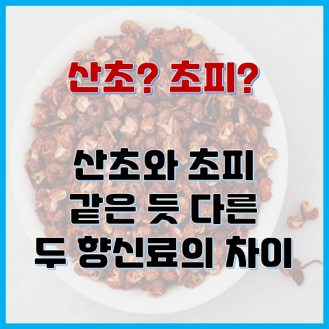 산초와 초피 같은 듯 다른 두 향신료의 차이 산초와 초피 같은 듯 다른 두 향신료의 차이