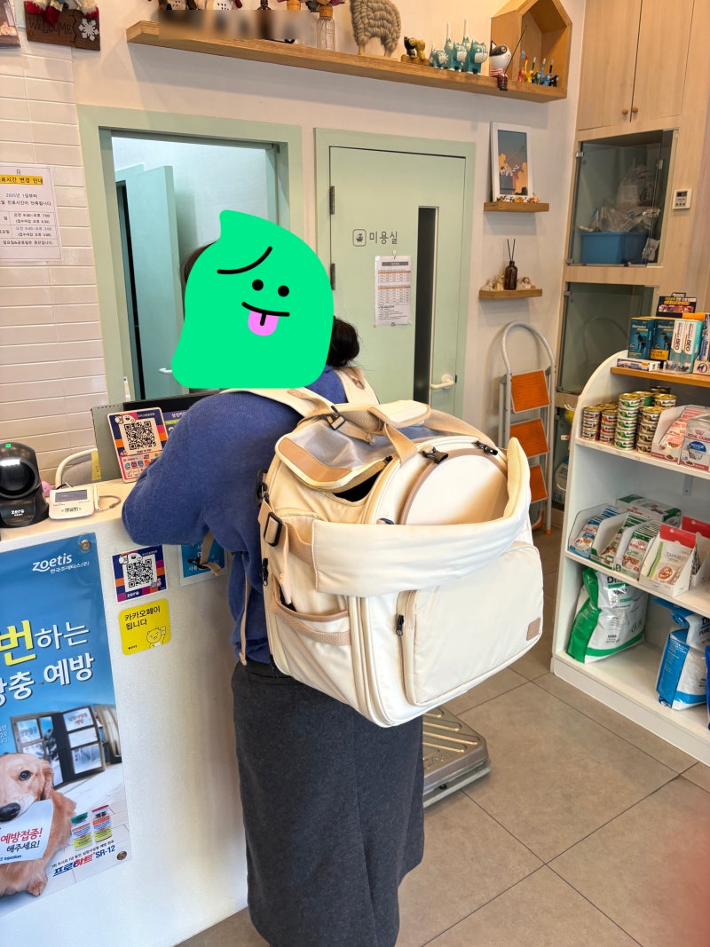 고양이이동장 뭐가 좋을까 이동가방 백팩 추천템