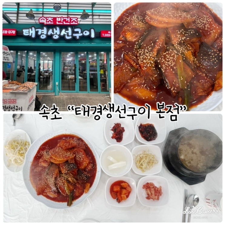  속초 중앙시장 "태경생선구이 본점" 생선모듬조림 먹고왔어요