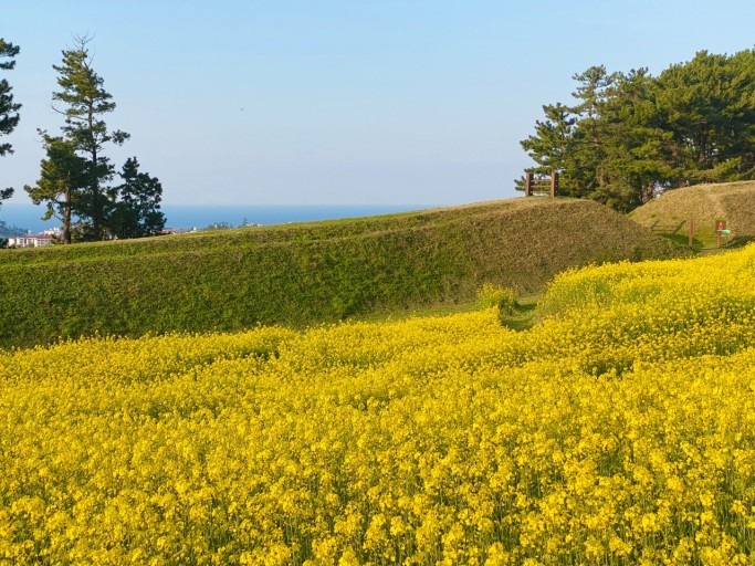  [제주 한림 맛집]제주넘기 제주 여행 제주 한림웅담 맛  7538f5b334dd41239a3442c09246ee8d